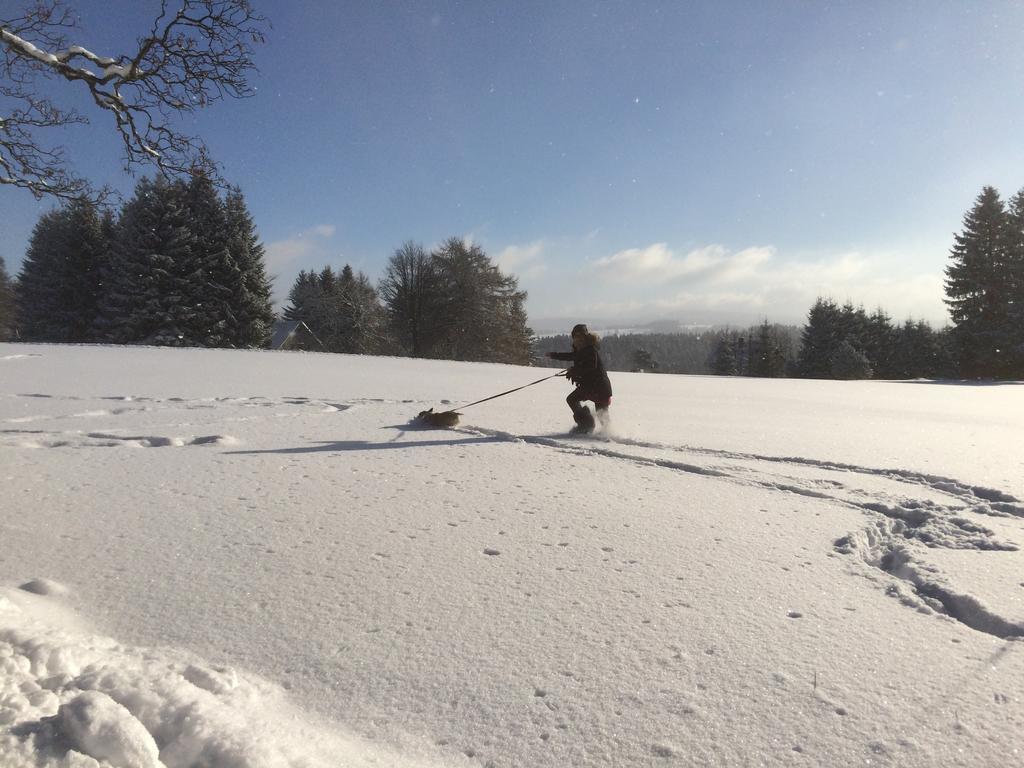 Ferienhaus Berghuette Vogtland In Klingenthal Villa Bagian luar foto