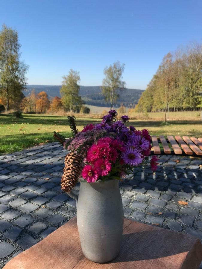 Ferienhaus Berghuette Vogtland In Klingenthal Villa Bagian luar foto